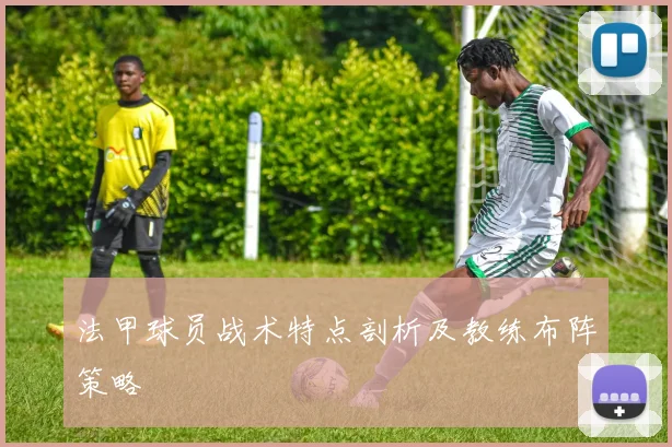 法甲球员战术特点剖析及教练布阵策略