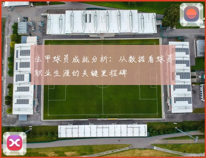 法甲球员成就分析：从数据看球员职业生涯的关键里程碑