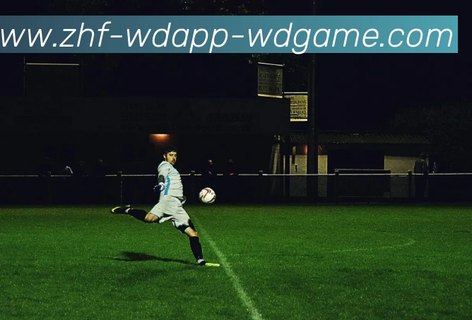 问鼎娱乐平台生态图