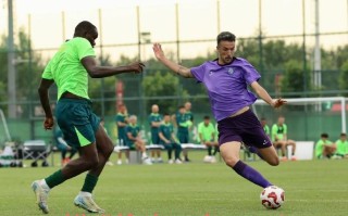 问鼎娱乐官网-德甲球队如何倾听球迷意见进行改革？